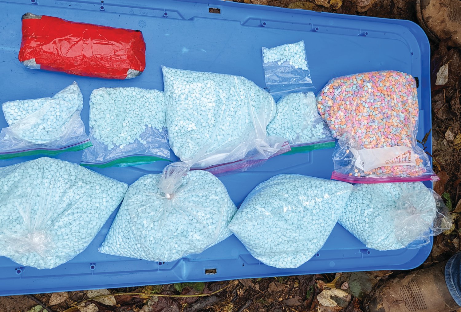 Bags filled with fentanyl seized last week by federal authorities. Law enforcement officials said 11 kilos of fentanyl pills were confiscated, as well as 10 kilos of methamphetamine, and three kilos of heroin.